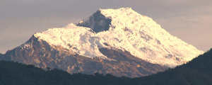 Gentili Apri