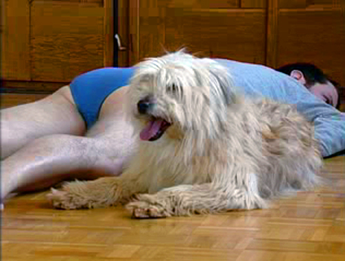 totentanzhund.jpg