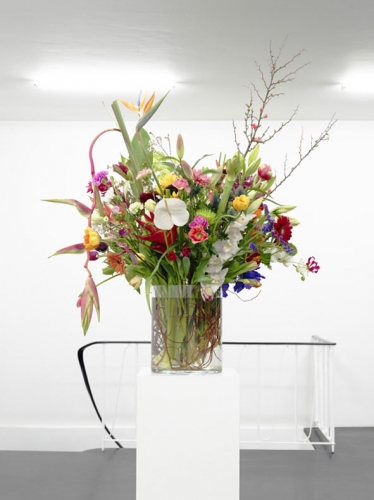 1265127650_90b51df2e6fb8c4e64006625bcc1a47e